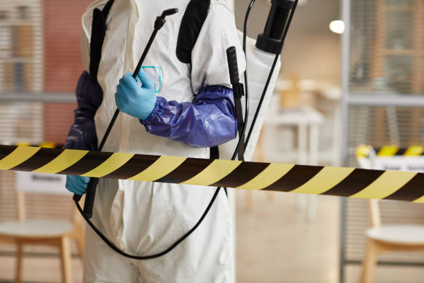 Professional Infectious Disease Decontamination technician working in Villa Grande, CA
